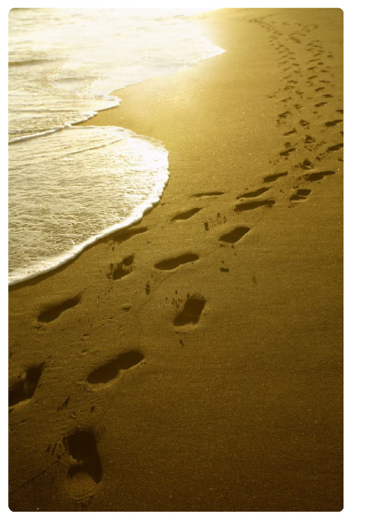 Footprints leading along a sunlit beach at the edge of the surf.